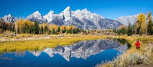 Yellowstone and Grand Teton Adventure - 6 Day